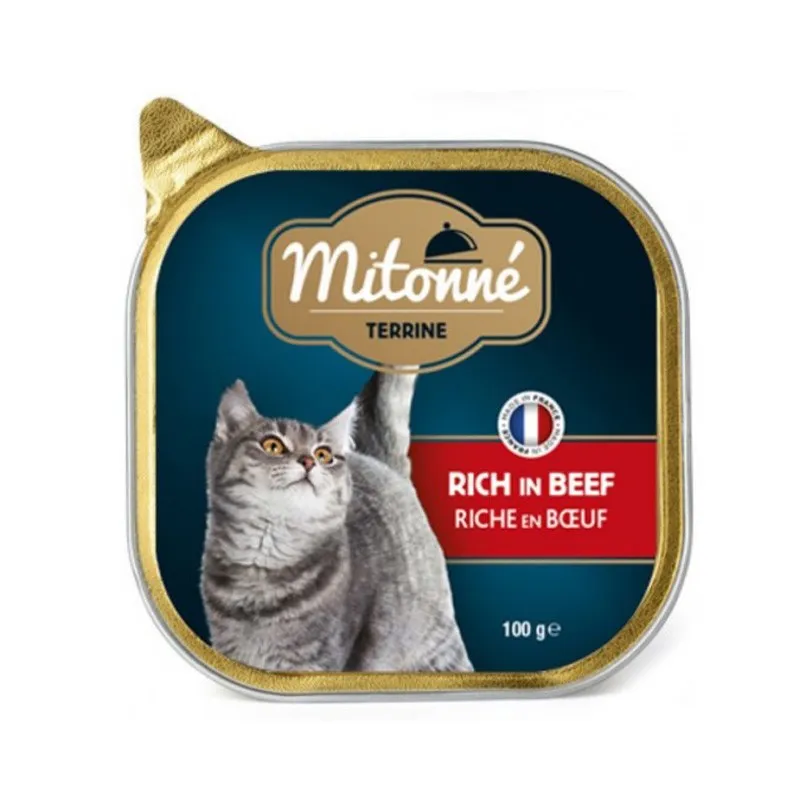  mitonné Terrine Rich In beef