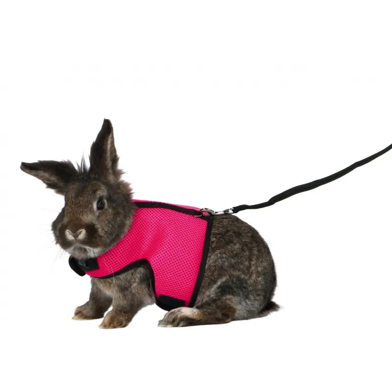 Trixie Soft Soft Harness with Leash 2