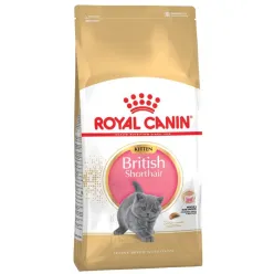 Royal Canin British Shorthair Kitten Dry Food