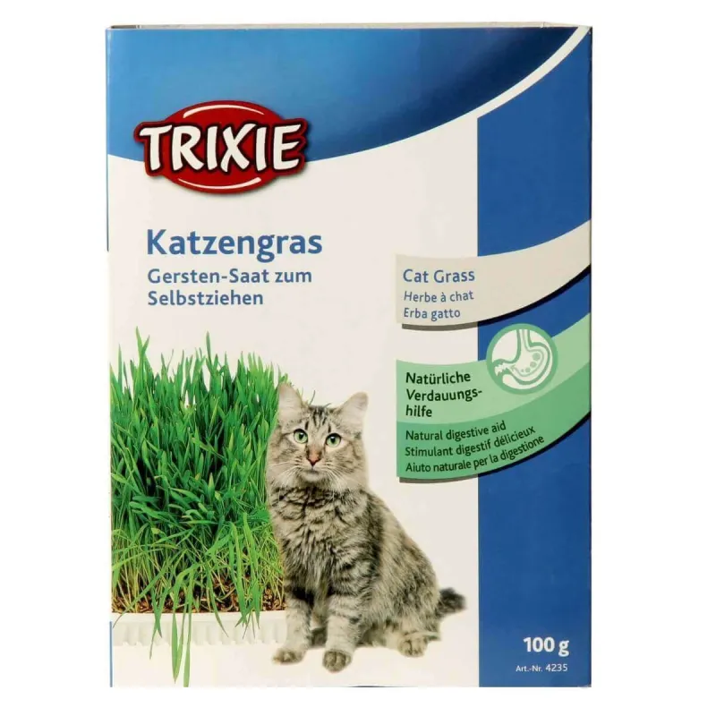 Trixie Cat Grass