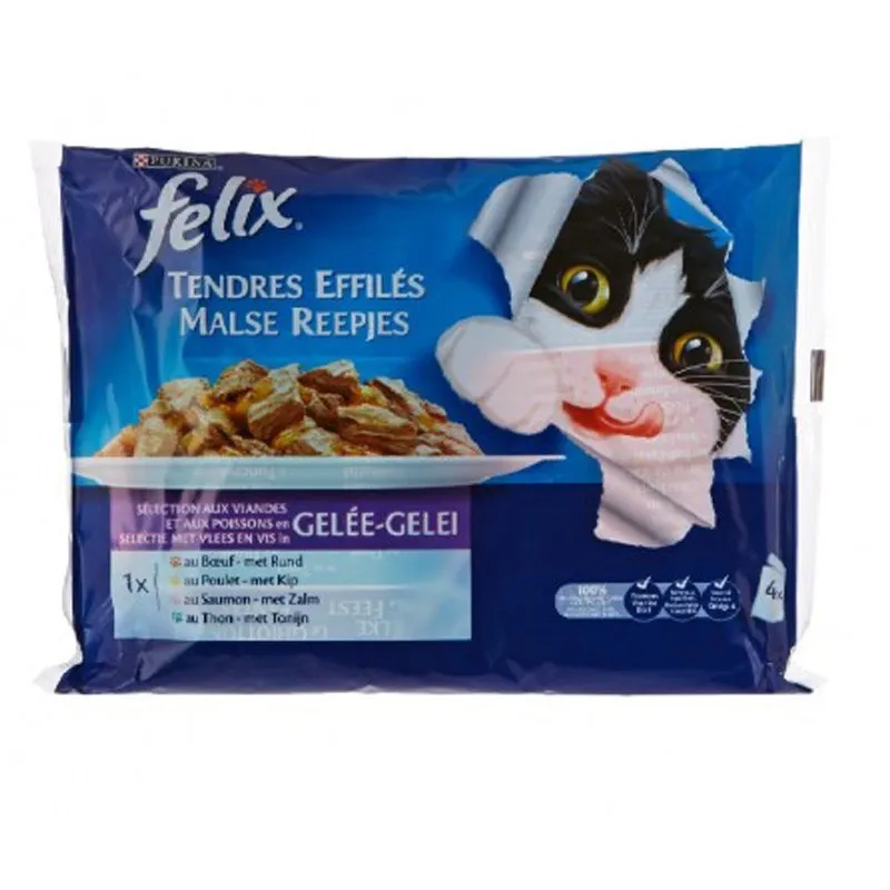 Flix Slice Poulty Super Premium Cat Food