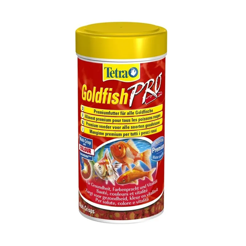 Tetra Goldfish