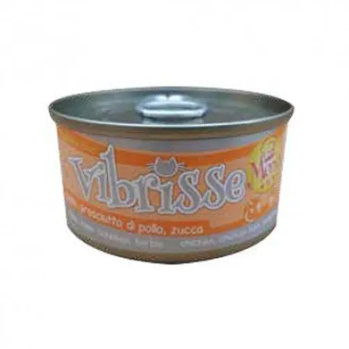 Vibrisse Chicham , pumpkin in Sause