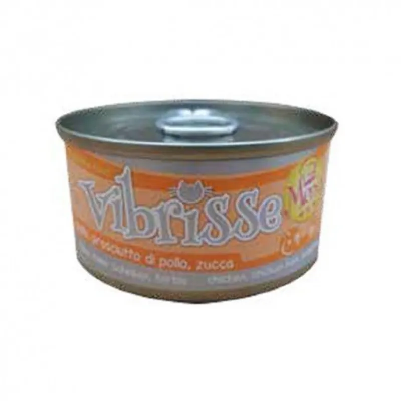 Vibrisse Chicham , pumpkin in Sause