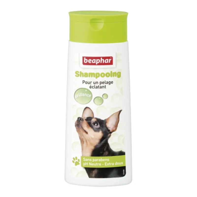 Shampoo Glossy Coat