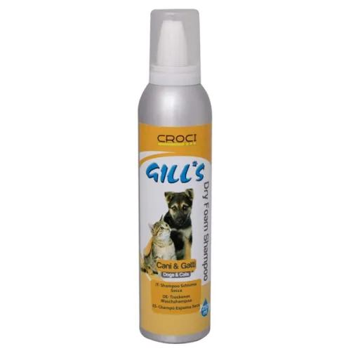 Gill’s Shampoo Dry Foam