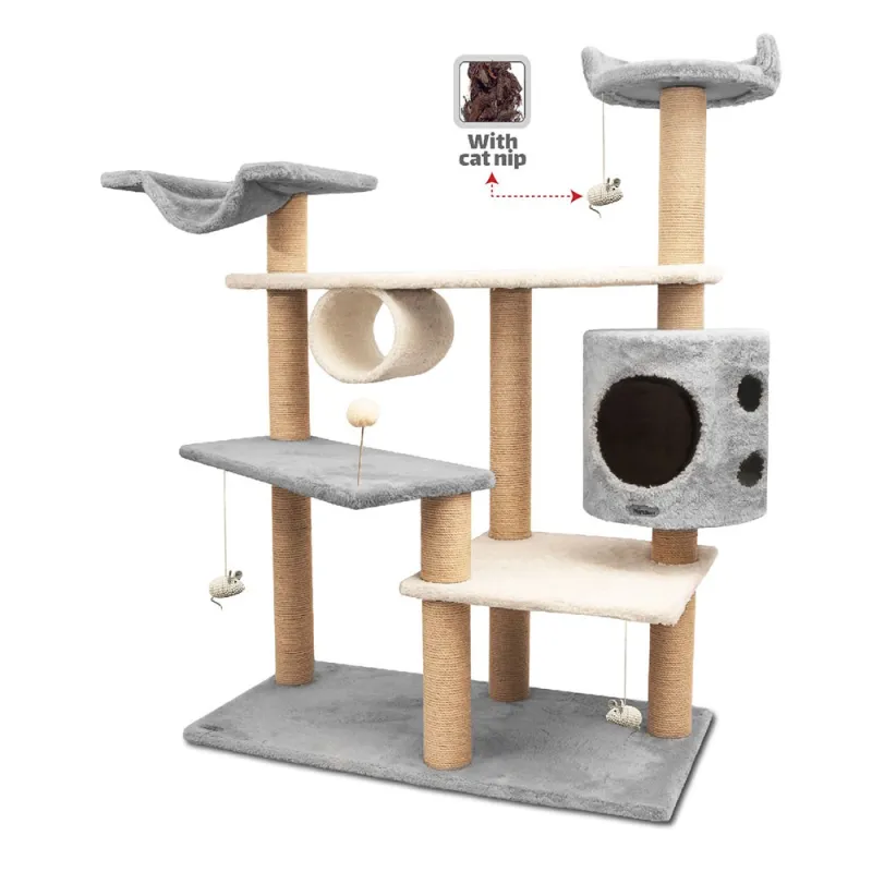 Cat Tree, Code O