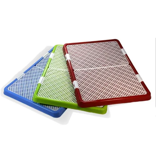 Danniel dog Traning X