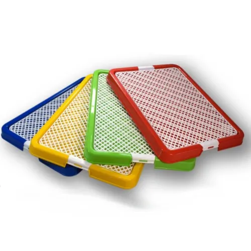 Danniel dog Traning S