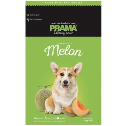 Prama Stick Dog Treat With Sweet Melon