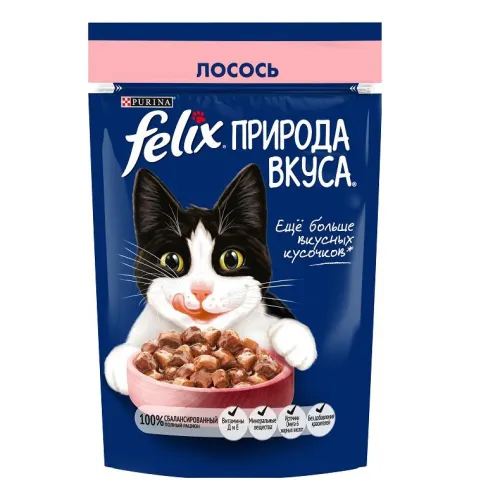 Felix Pouch Adult Wet Cat Food With Trout In Sauce