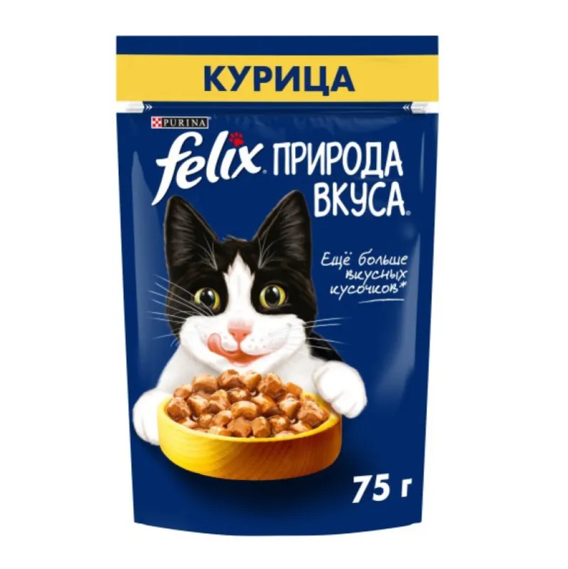 Felix Pouch Adult Wet Cat Food With Chicken In Sauce