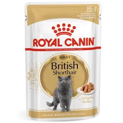 Royal Canin British Short Hair Pouch Adult Wet Cat Food In Sauce