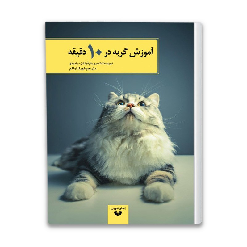  Cat Training Book In 10 Minutes 