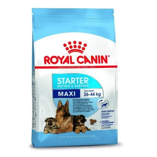 Royal Canin Maxi Starter Mother And Baby Dry Dog Food 