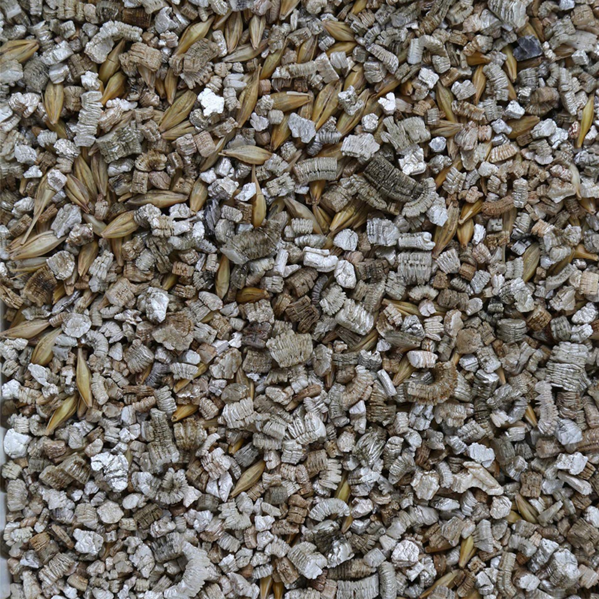 Gimcat Wiesenduft Grass