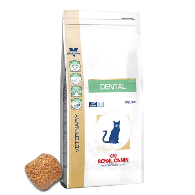 Royal Canin Dental Adult Dry Cat Food
