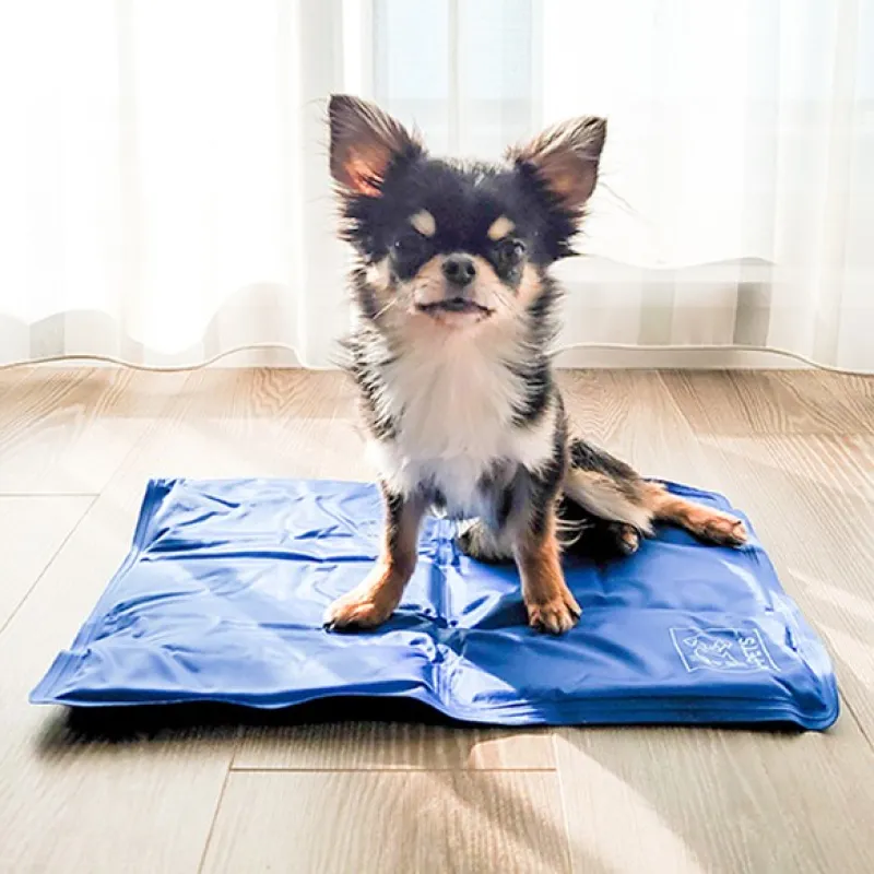 M-Pets Dog Cooling Mat Frozen