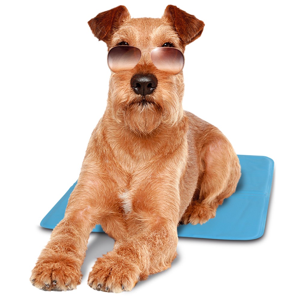 pet cool mat
