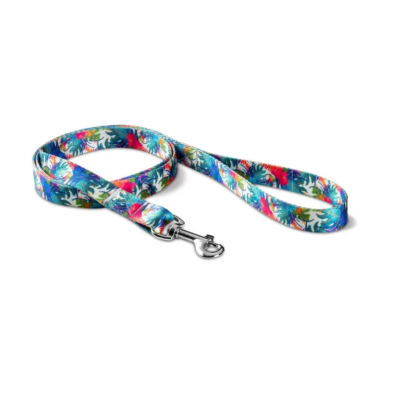 Dog &amp; Cat Lead Patterned Rhythm Model