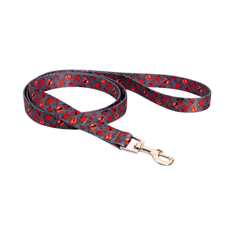 Dog &amp; Cat Lead Patterned Rhythm Model