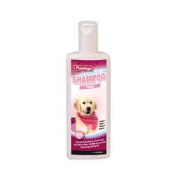 shampoo puppy