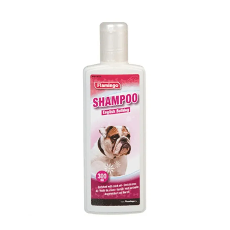 shampoo bulldog