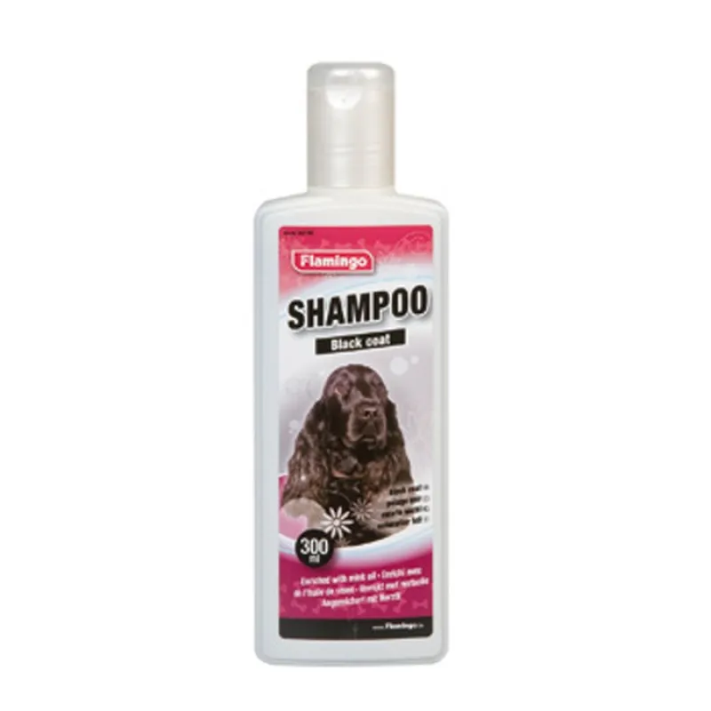 shampoo black coat