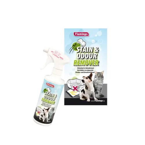 stain & odour remover