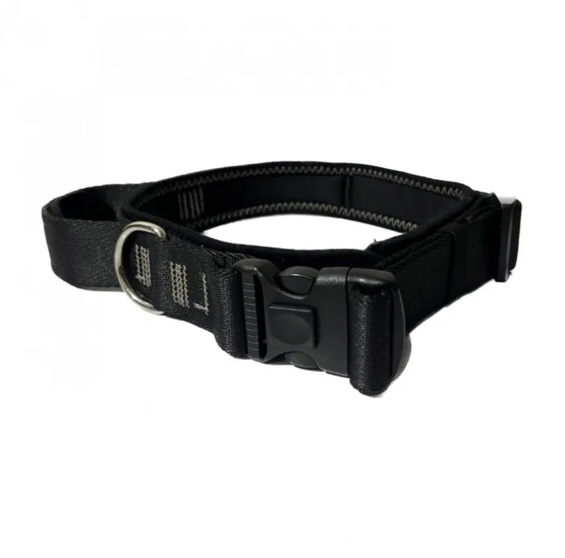 Dog &amp; Cat Neck Collar, Rhythm Model, Whit Lead