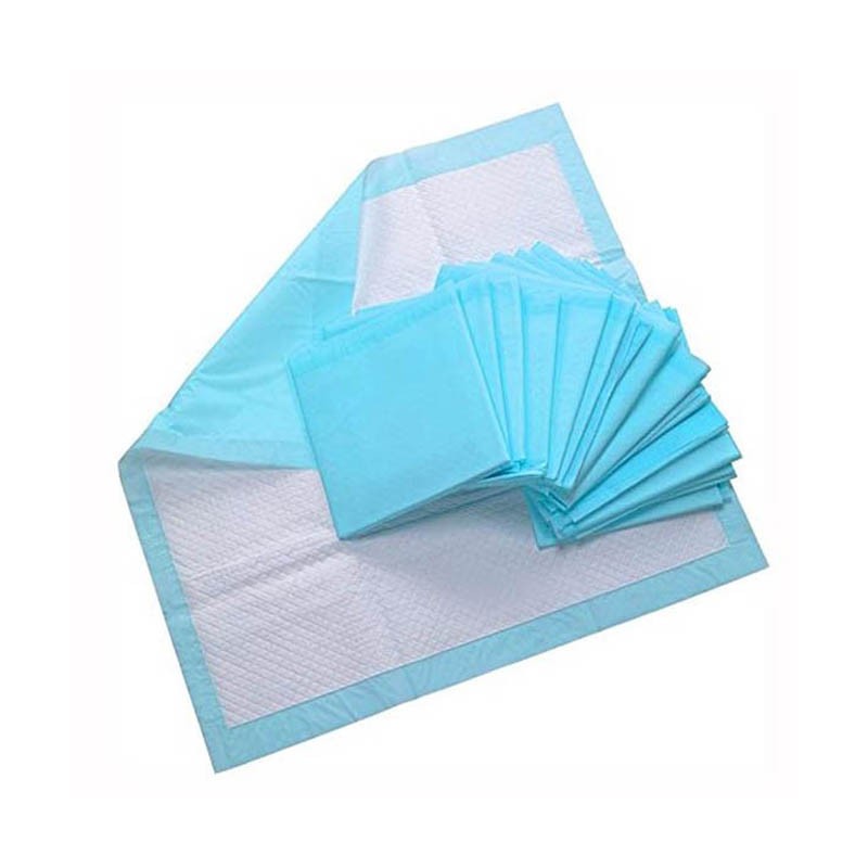  Training Pad for Dog