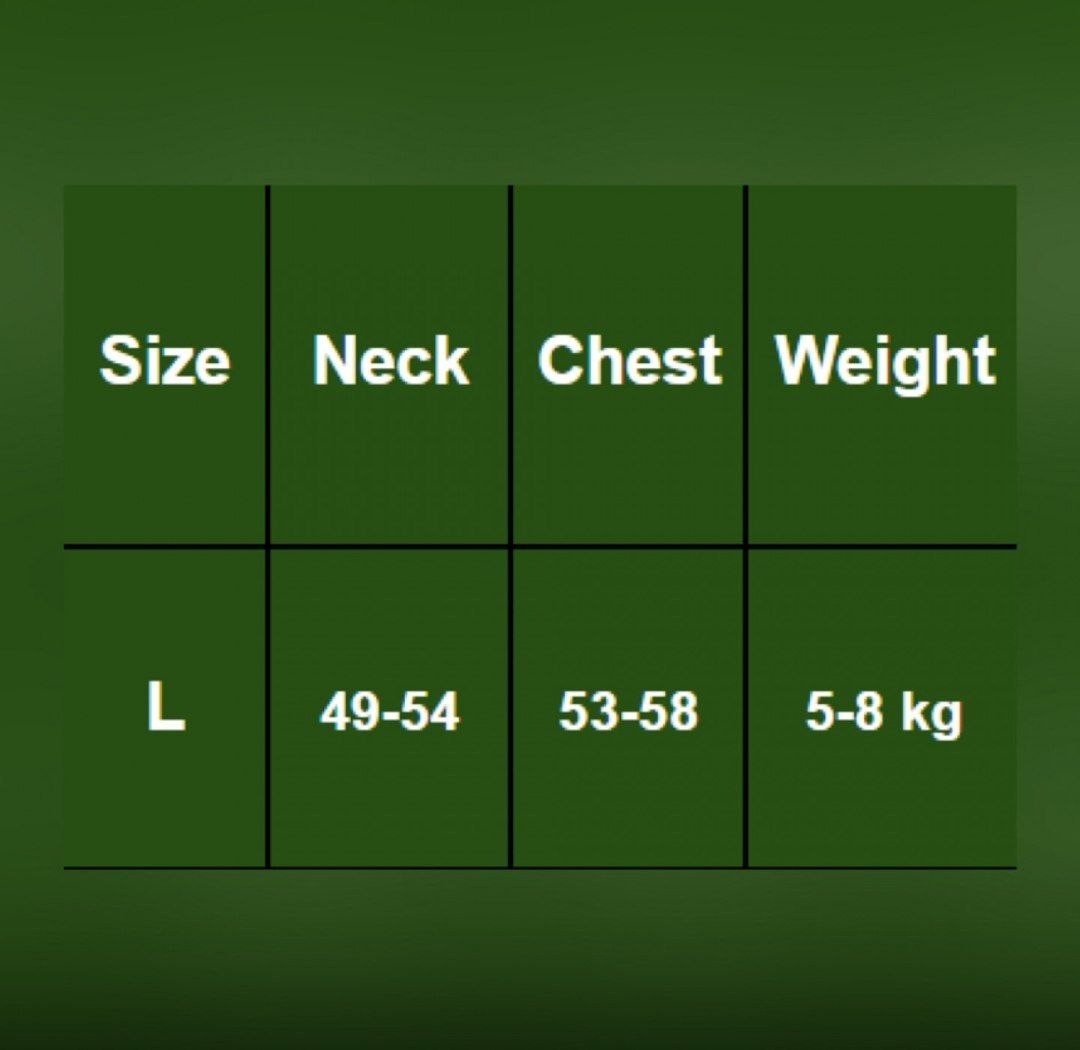 Spider Dog &amp; Cat Harness, Large size