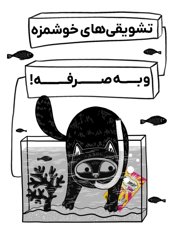 تشویقی گربه مقرون به صرفه