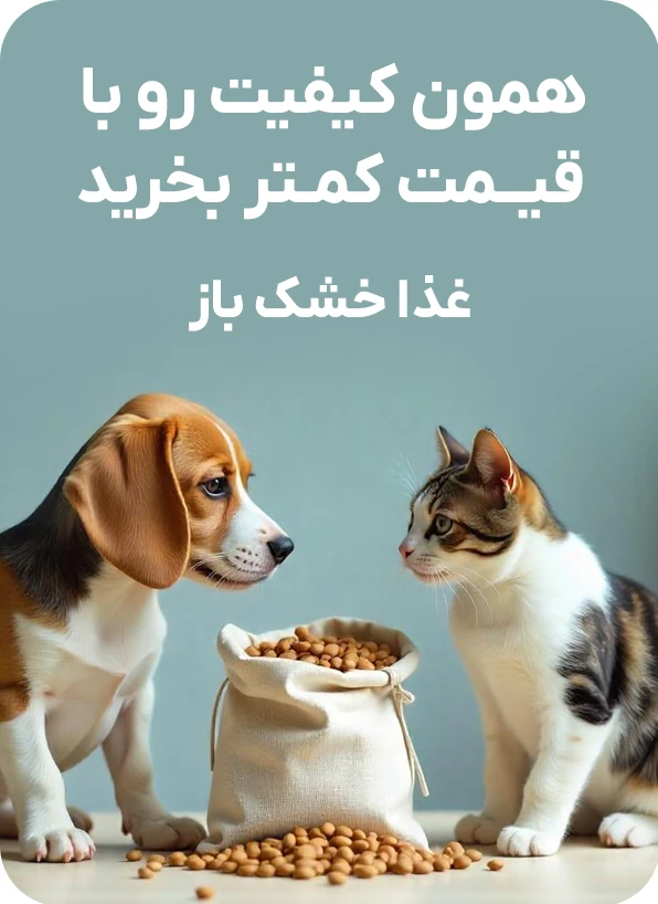 غذای خشک باز