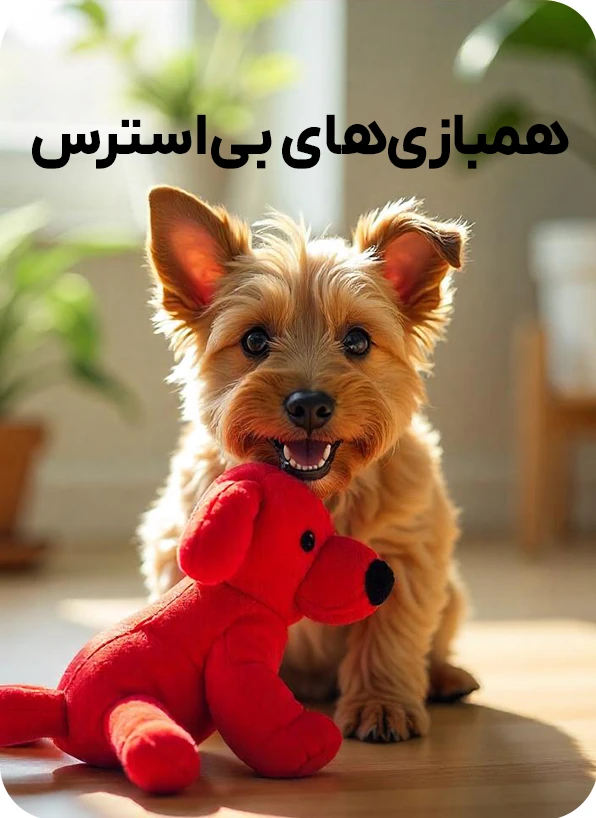 اسباب بازی سگ