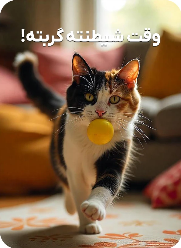 اسباب بازی گربه