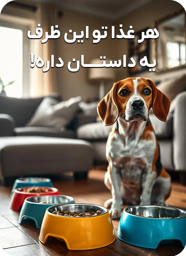 ظرف غذای سگ
