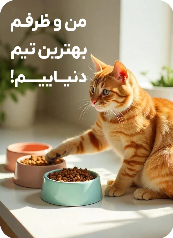 ظرف غذای گربه