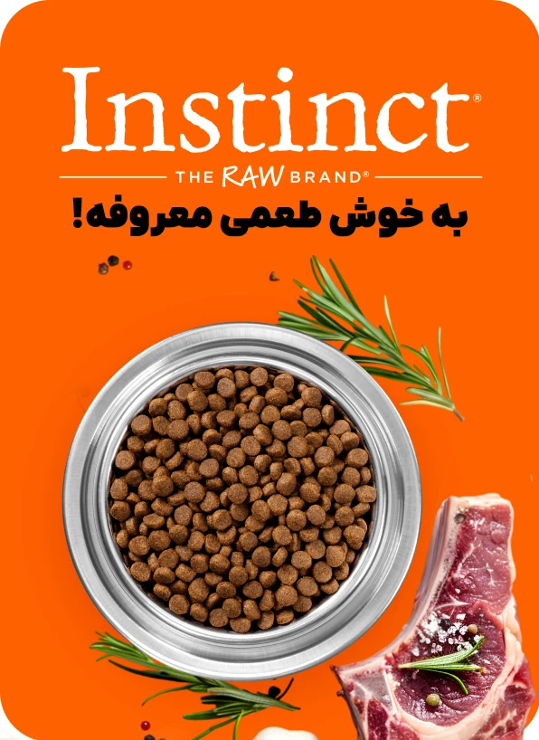 برند اینس تینکت