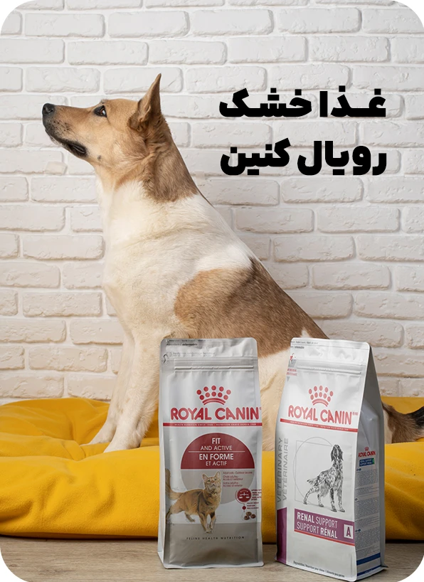 برند رویال کنین