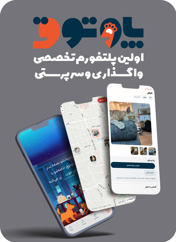 پاوتوق