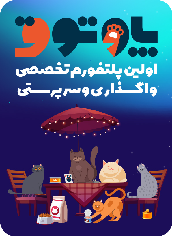 پاوتوق2