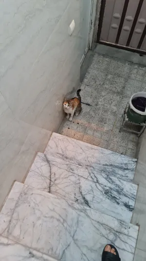 بی نام