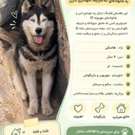واگذاری گرگی