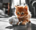 توپ پنبه ای و صدا دار