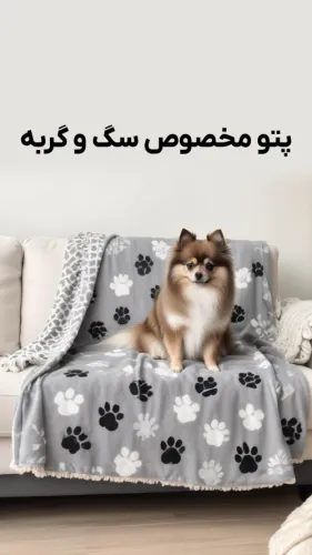 پتو سگ و گربه مریلند