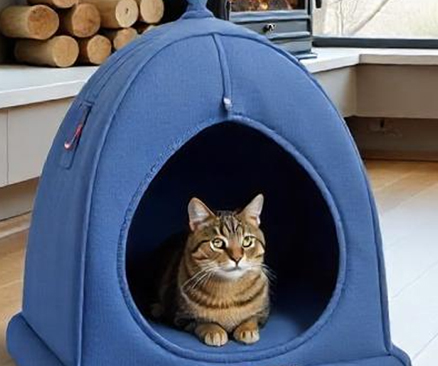 لانه سه کاره BOSS