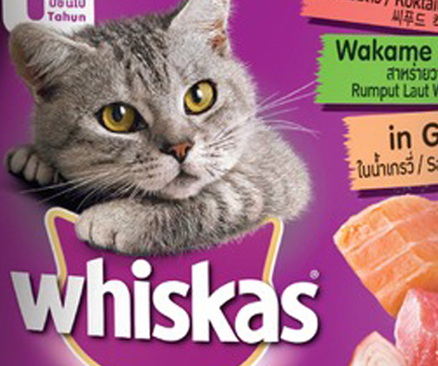 پوچ گربه ویسکاس