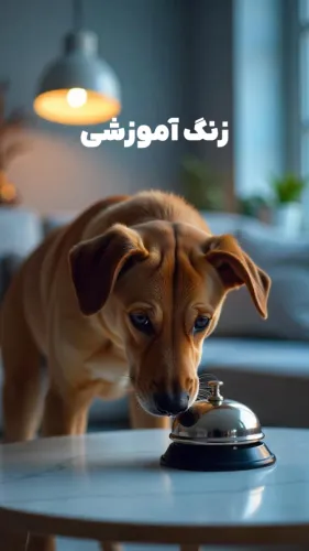زنگ آموزشی سگ