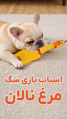 مرغ نالان